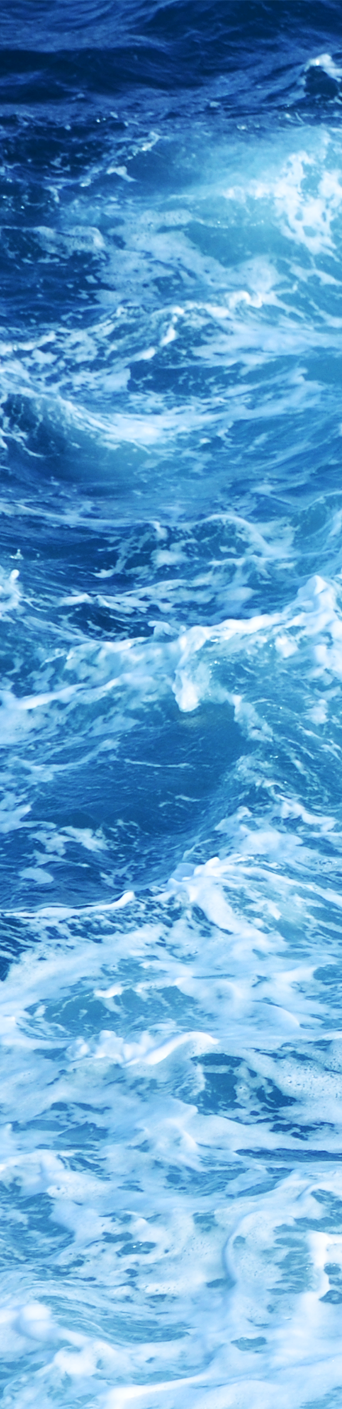 personal image in header number two